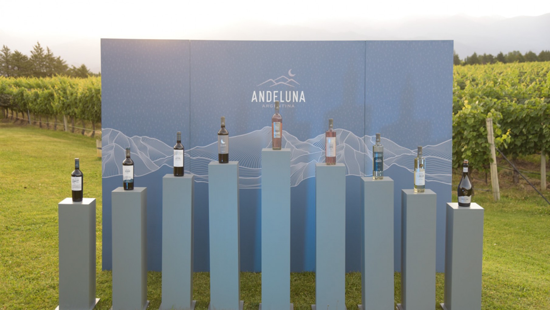 Las inversiones de la familia Barale en Mendoza