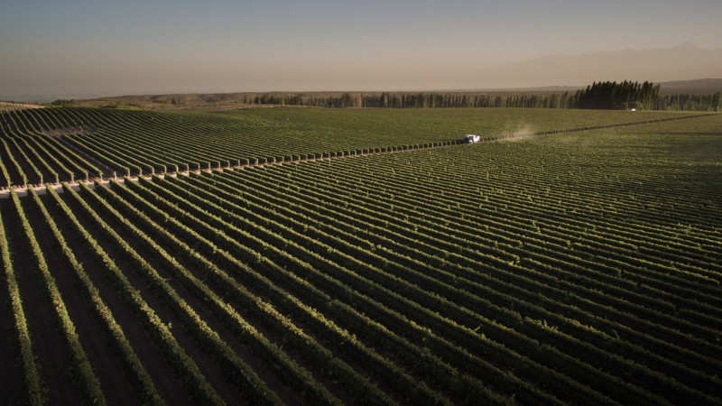 Agrinet comenzó a exportar a Brasil, Bolivia y Uruguay y se expande a Europa y África